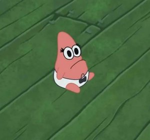 台北老王 的成員照