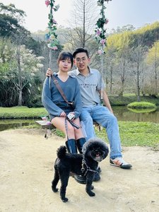 藍藍/新北市 的成員照